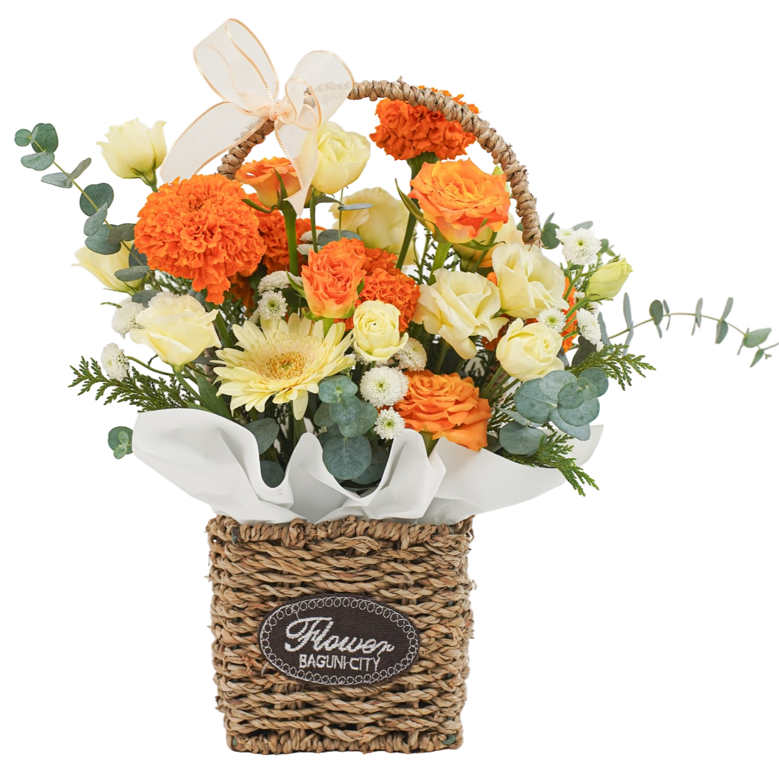 햇살 가득한 날